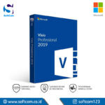 Microsoft Visio Pro 2019 32/64 Bit English EM DVD (D87-07410)